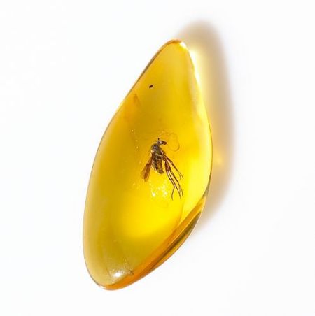 琥珀作用 文玩琥珀文玩蜜蜡的功效与作用