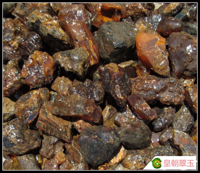 琥珀知识大全