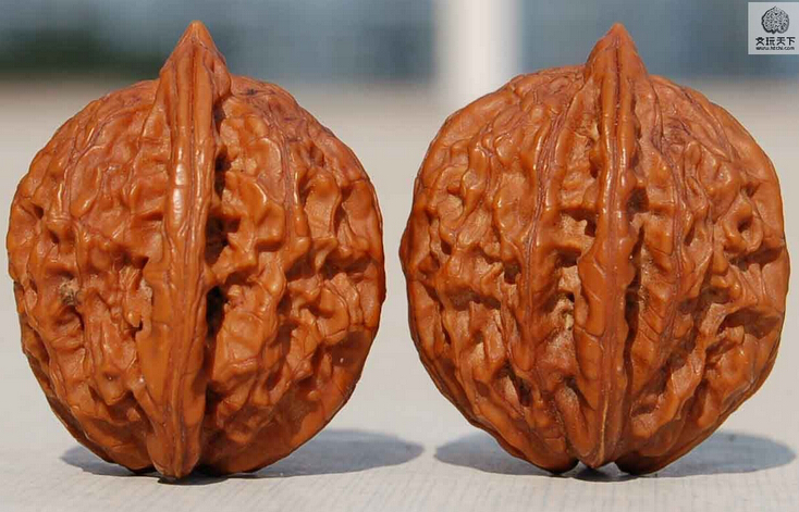 狮子头与虎头各自的特点对比