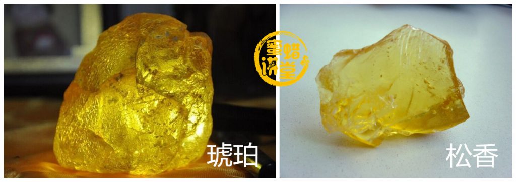 琥珀和松香的区别是什么？