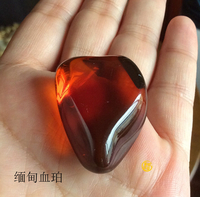  波罗的海到底有没有天然血珀？