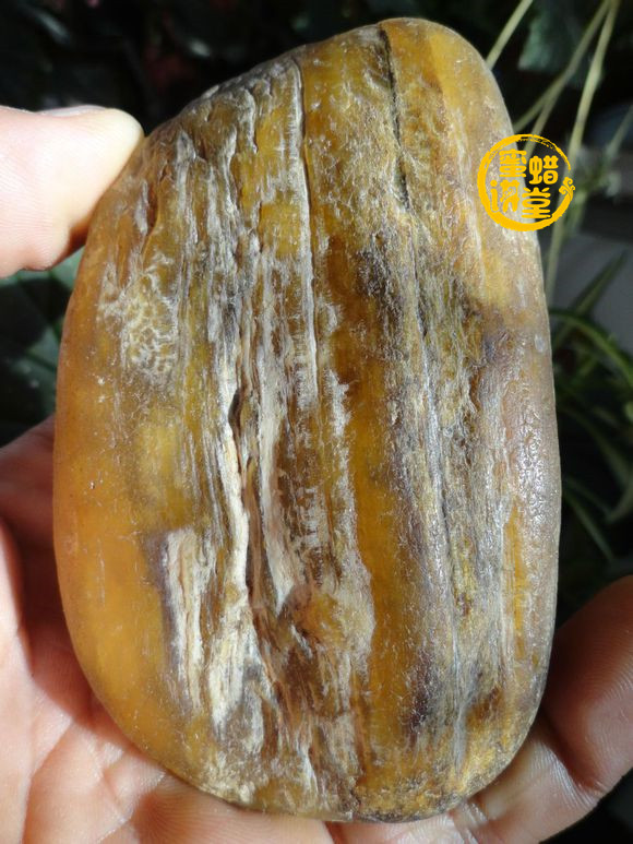琥珀玉真的存在吗？