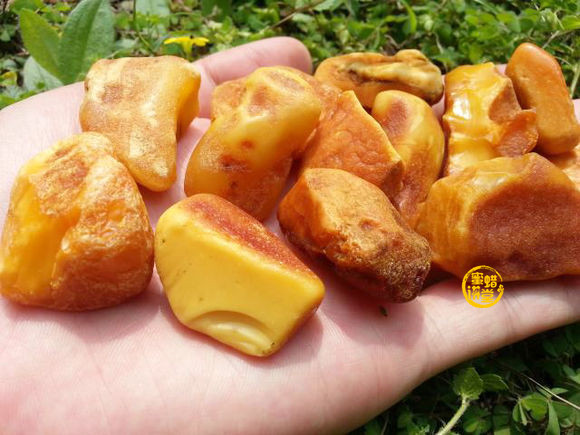 蜜蜡能烧着吗，蜜蜡能用火烧吗？