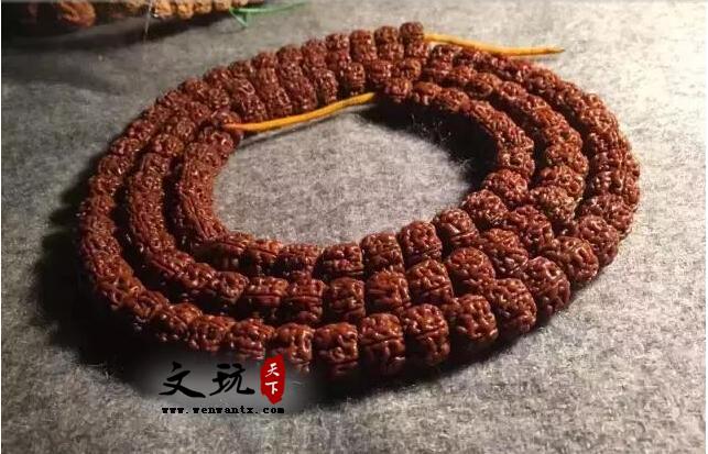 金刚菩提知识,这一篇是我见过写的最详细的-6