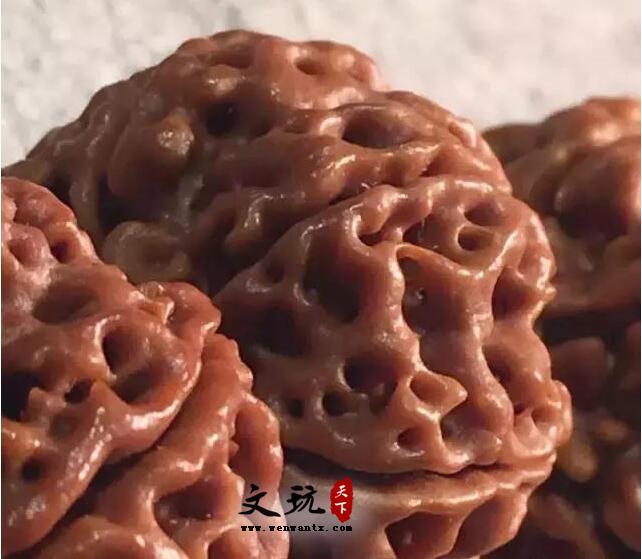 金刚菩提知识,这一篇是我见过写的最详细的-3