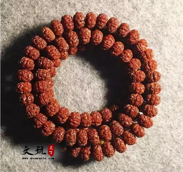 金刚菩提知识,这一篇是我见过写的最详细的-4