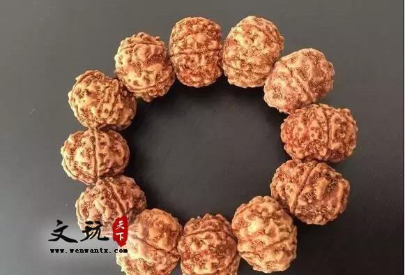 金刚菩提知识,这一篇是我见过写的最详细的-1