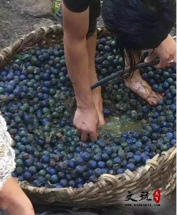 金刚菩提知识,这一篇是我见过写的最详细的-2