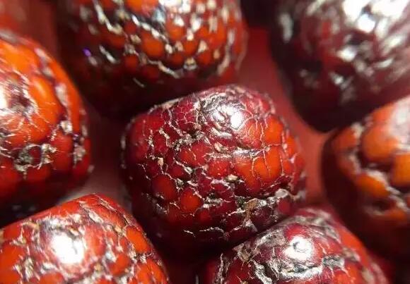 菩提类文玩包浆过程图:金刚,星月,凤眼 菩提类文玩包浆过程图:金刚,星月,凤眼 文玩天下 第8张 菩提类文玩包浆过程图:金刚,星月,凤眼 文玩天下 第8张