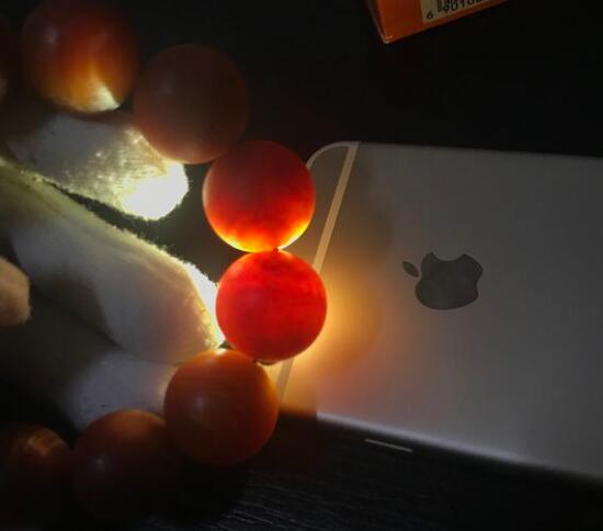 东北特有松明子手串,贼好看,贼透亮 东北特有松明子手串,贼好看,贼透亮 文玩天下 第4张 东北特有松明子手串,贼好看,贼透亮 文玩天下 第4张