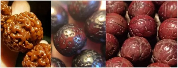 文玩圈屹立不倒三大菩提:大小金刚,星月,凤眼 文玩圈屹立不倒三大菩提:大小金刚,星月,凤眼 文玩天下 第1张 文玩圈屹立不倒三大菩提:大小金刚,星月,凤眼 文玩天下 第1张