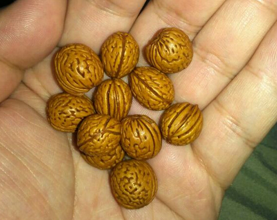 我在文玩路上的一些见解与经历(二) 我在文玩路上的一些见解与经历(二) 文玩天下 第6张 我在文玩路上的一些见解与经历(二) 文玩天下 第6张