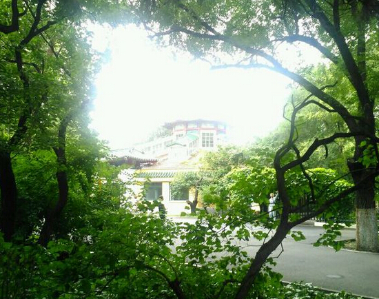 我在文玩路上的一些见解与经历(二) 我在文玩路上的一些见解与经历(二) 文玩天下 第1张 我在文玩路上的一些见解与经历(二) 文玩天下 第1张