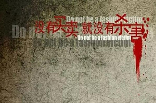 我看文玩网络视频告诉什么是真正的顽主 我看文玩网络视频 告诉什么是真正的顽主 文玩天下 我看文玩网络视频 告诉什么是真正的顽主 文玩天下