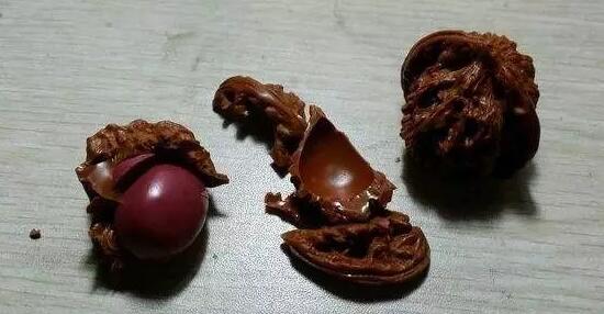 作为文玩人,你肯定盘过这些塑料珠子吧? 作为文玩人,你肯定盘过这些塑料珠子吧? 文玩天下 第2张 作为文玩人,你肯定盘过这些塑料珠子吧? 文玩天下 第2张