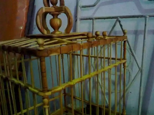 东北扁核木扁担胡子烟嘴鸟笼手串制作 东北扁核木扁担胡子 烟嘴 鸟笼 手串制作 文玩天下 第3张 东北扁核木扁担胡子 烟嘴 鸟笼 手串制作 文玩天下 第3张