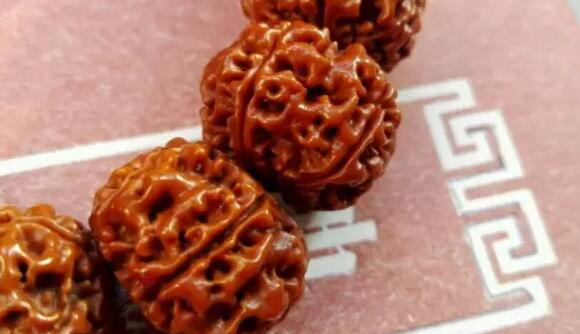 菩提类文玩包浆过程图:金刚,星月,凤眼 菩提类文玩包浆过程图:金刚,星月,凤眼 文玩天下 第2张 菩提类文玩包浆过程图:金刚,星月,凤眼 文玩天下 第2张