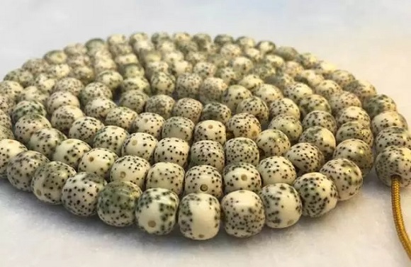 星月菩提种类图解,总有一款你会喜欢 星月菩提种类图解,总有一款你会喜欢 文玩天下 第3张 星月菩提种类图解,总有一款你会喜欢 文玩天下 第3张