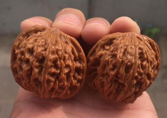 玩菩提类文玩,包浆之外的收获 玩菩提类文玩,包浆之外的收获 文玩天下 第3张 玩菩提类文玩,包浆之外的收获 文玩天下 第3张