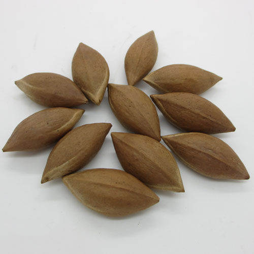 精品橄榄核雕的挑选与收藏 精品橄榄核雕的挑选与收藏 文玩天下 第1张 精品橄榄核雕的挑选与收藏 文玩天下 第1张