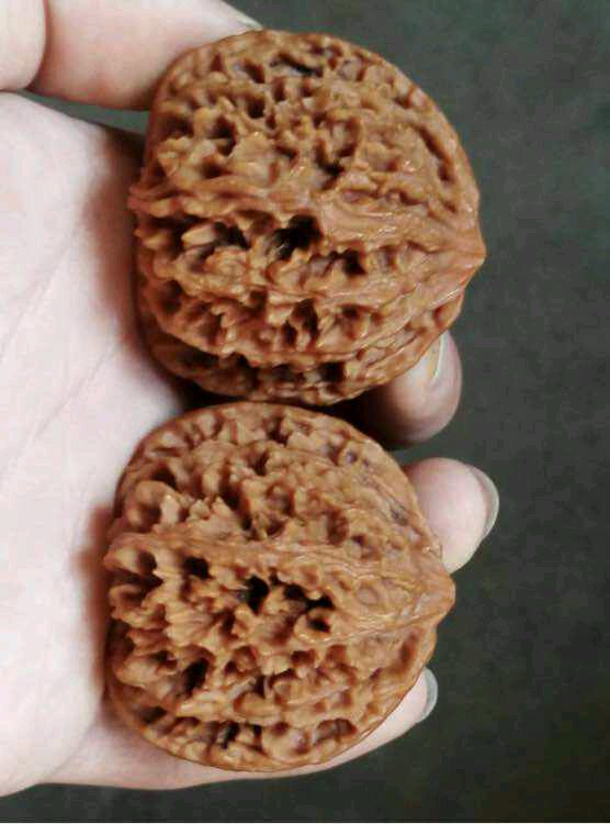 一个文玩小白心中的宝贝排行榜 一个文玩小白心中的宝贝排行榜 文玩天下 第10张 一个文玩小白心中的宝贝排行榜 文玩天下 第10张
