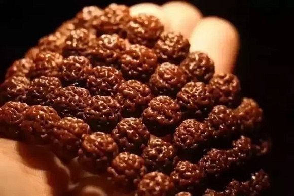 文玩圈屹立不倒三大菩提:大小金刚,星月,凤眼 文玩圈屹立不倒三大菩提:大小金刚,星月,凤眼 文玩天下 第2张 文玩圈屹立不倒三大菩提:大小金刚,星月,凤眼 文玩天下 第2张