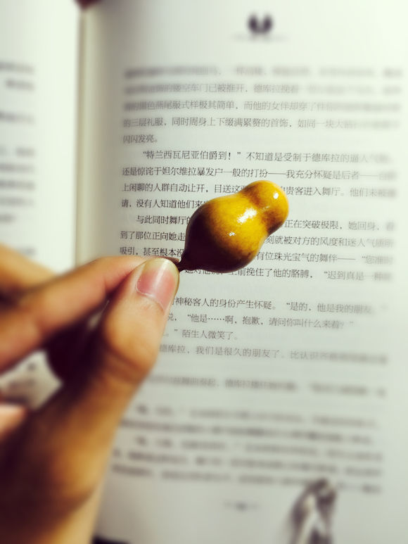 摄影师一名,深陷文玩这个坑 摄影师一名,深陷文玩这个坑 文玩天下 第6张 摄影师一名,深陷文玩这个坑 文玩天下 第6张