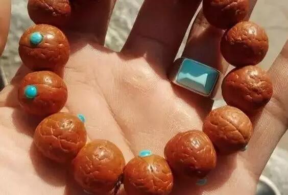 菩提类文玩包浆过程图:金刚,星月,凤眼 菩提类文玩包浆过程图:金刚,星月,凤眼 文玩天下 第9张 菩提类文玩包浆过程图:金刚,星月,凤眼 文玩天下 第9张