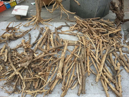 文玩集市奸商多多听多看买真货 文玩集市奸商多 多听多看买真货 文玩天下 文玩集市奸商多 多听多看买真货 文玩天下