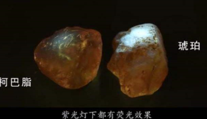 和蜜蜡相似的石头种类 柯巴树脂的那些事 和蜜蜡相似的石头种类 柯巴树脂的那些事
