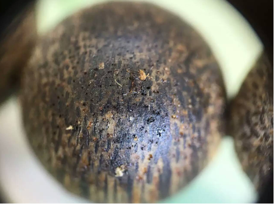 沉香功效与作用点 有什么功效与作用 沉香功效与作用点 有什么功效与作用