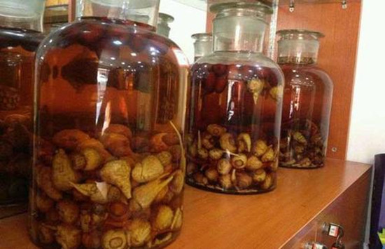 沉香泡酒的功效和作用 沉香泡酒有哪些作用 沉香泡酒的功效和作用 沉香泡酒有哪些作用
