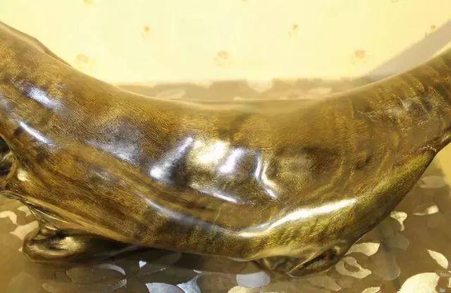 金丝楠木为什么那么珍贵_收藏价值 金丝楠木为什么那么珍贵_收藏价值