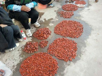 南红玛瑙产地凉山西昌原石市场价格行情 优质原石万元起 南红玛瑙产地凉山西昌原石市场价格行情 优质原石万元起