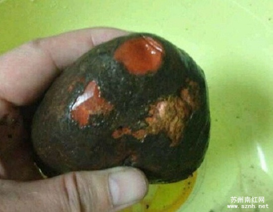 当心!南红原石收藏注意甄别这些冒牌货! 当心!南红原石收藏注意甄别这些冒牌货!