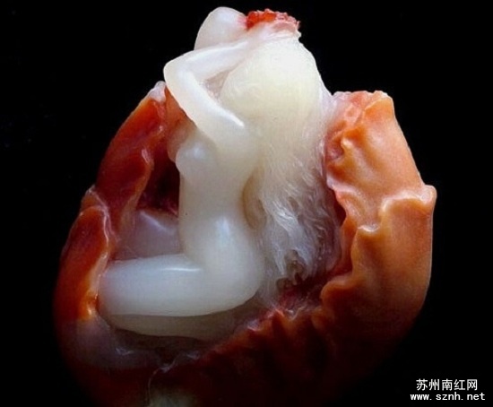 万花丛中过,才惊觉此种风情的南红美女才最媚。