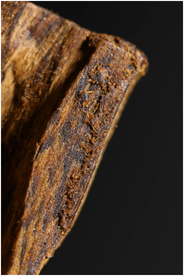 沉香有哪些药用价值? 沉香有哪些药用价值?