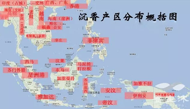 世界沉香产地排名 世界哪个产地产的沉香好 世界沉香产地排名 世界哪个产地产的沉香好